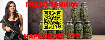 крисы Вязники