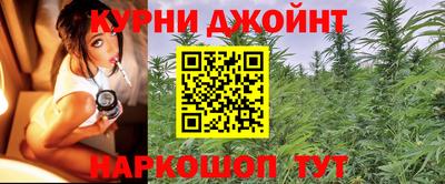 крисы Вязники