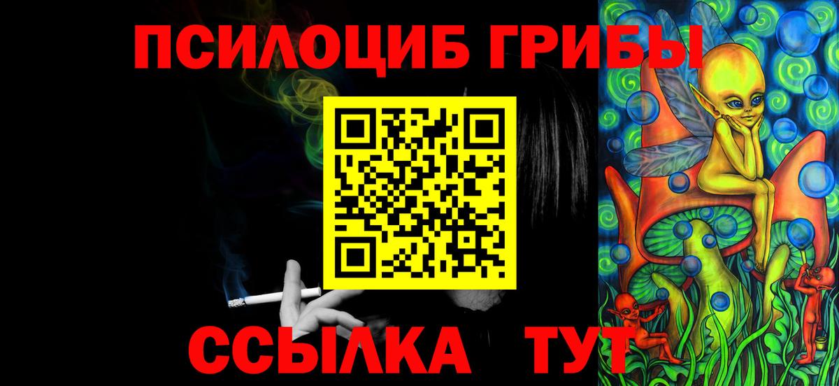 Псилоцибиновые грибы GOLDEN TEACHER Кохма